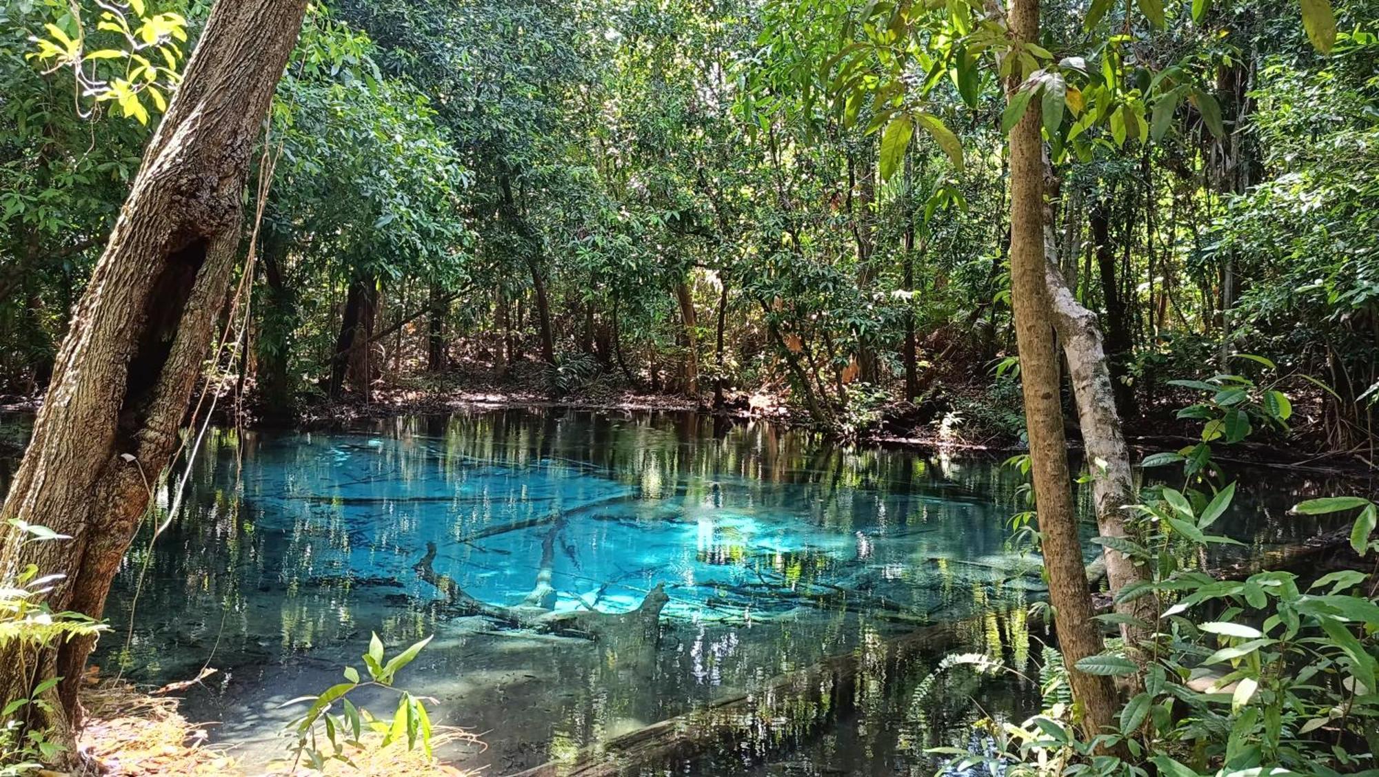 Brown Andaman Krabi